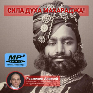 Алексей Разживин «СИЛА духа МАХАРАДЖА!»